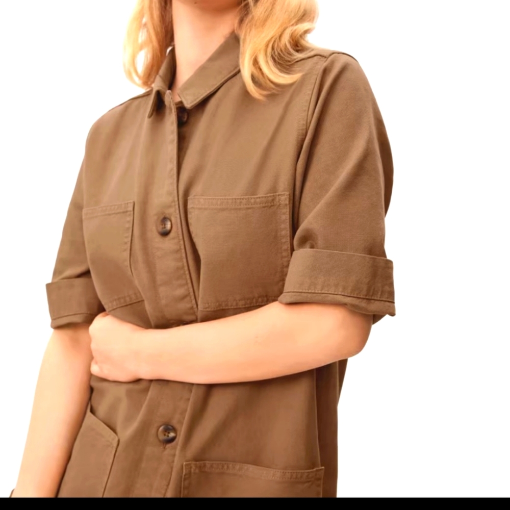 Everlane Brown Mini Dress